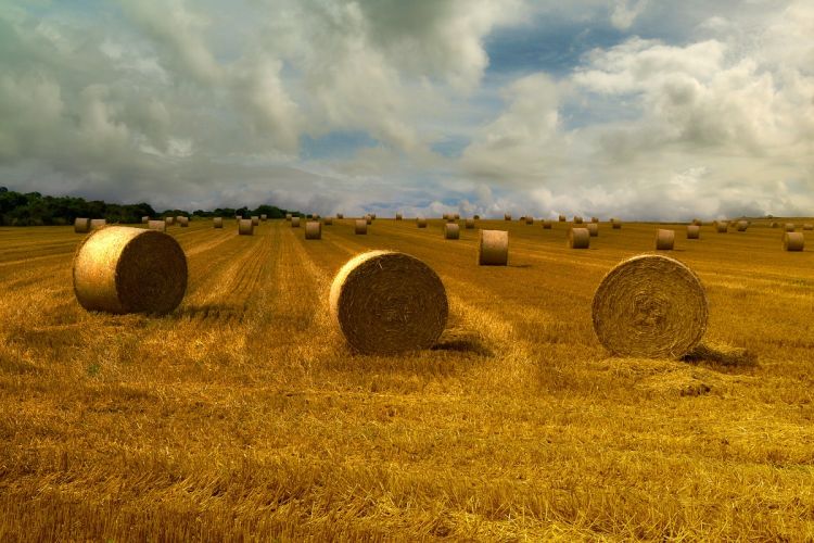 Hay bails in a field | alimony in Pennsylvania | Divorce Done Differently